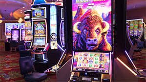 luck88 bet